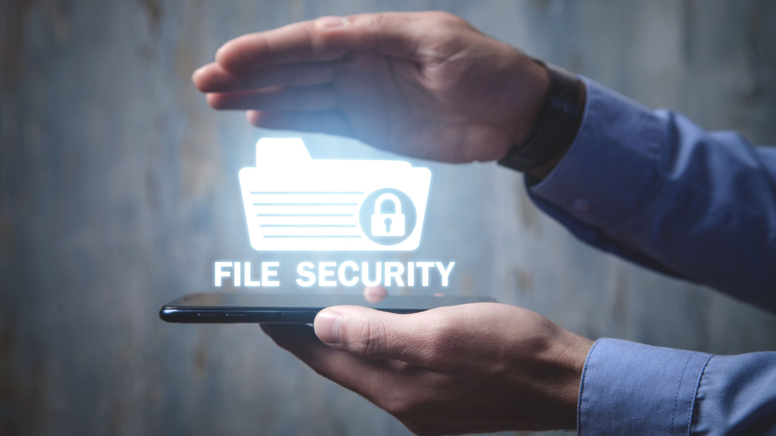 Offline vs Online Document Security